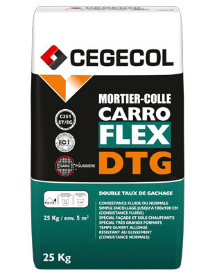 Mortier Carroflex Dtg Gris 25 Kg